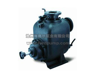 SP型無(wú)堵塞自吸排污泵